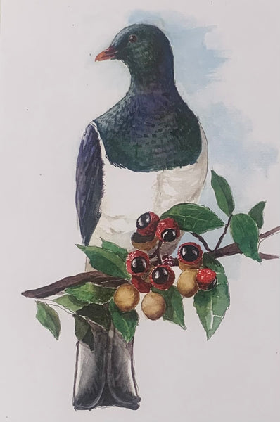 Kereru Greeting Card